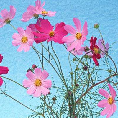 中金：当下或为A股中期相对低点，深调已带来布局良机